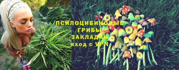 дурь Кукмор