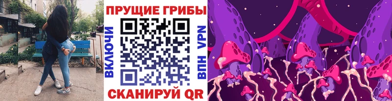 Галлюциногенные грибы GOLDEN TEACHER  Купить где  Болотное 